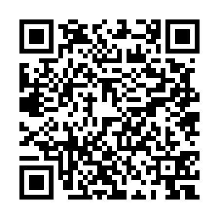 QR code for PNZ5313