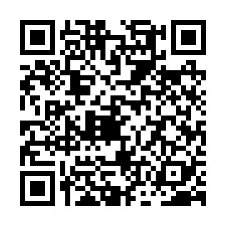 QR code for POE2295