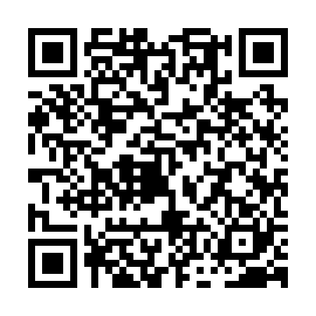 QR code for POI2203