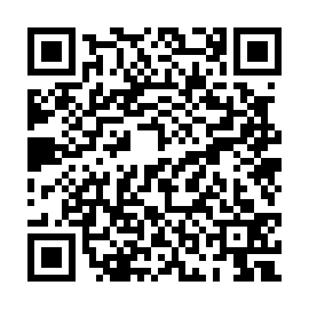 QR code for POO0339