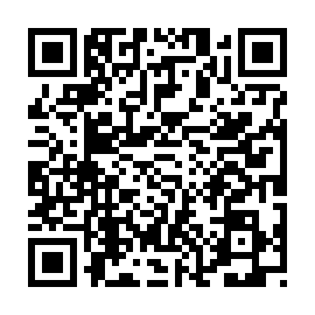 QR code for POO6381