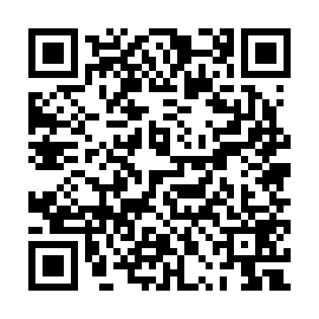 QR code for PPE2595