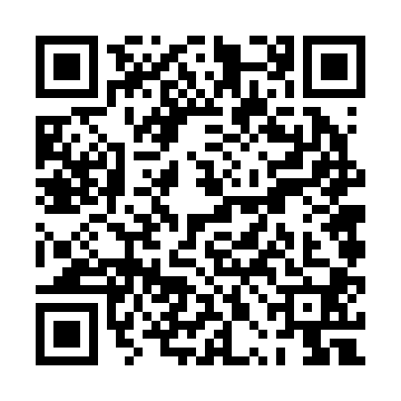 QR code for PPF2007
