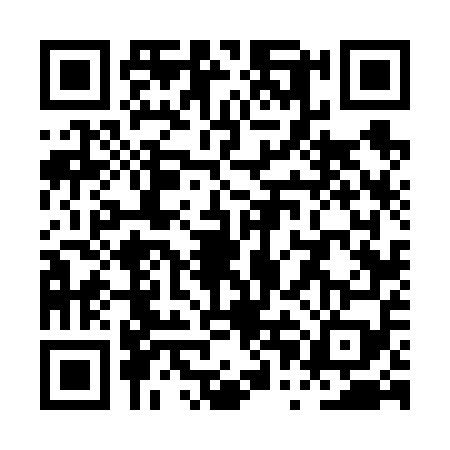 QR code for PPF6593
