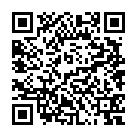 QR code for PPN4313