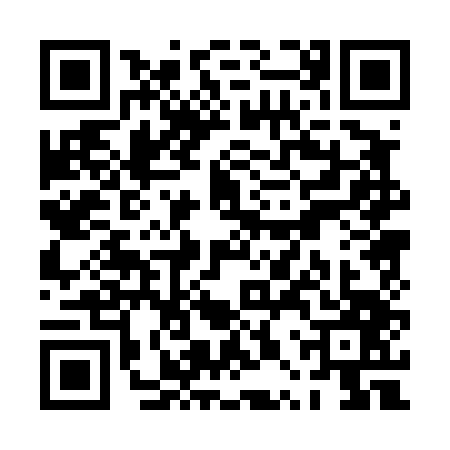 QR code for PPP4478