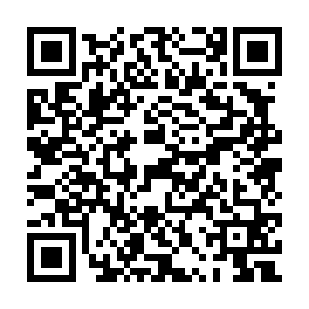 QR code for PPP4602