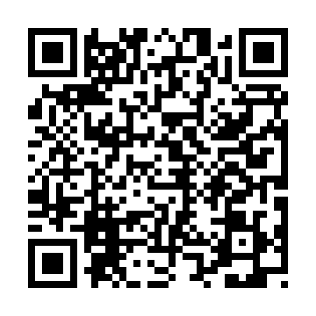 QR code for PPP8294