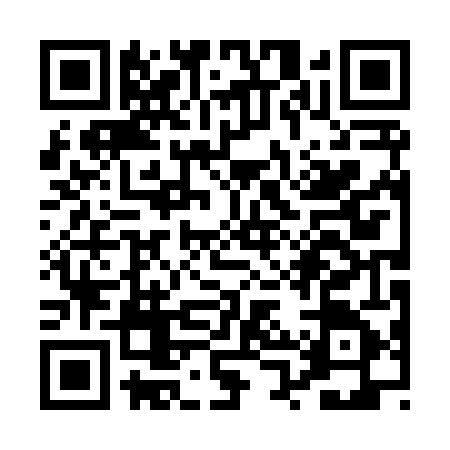 QR code for PPP8451