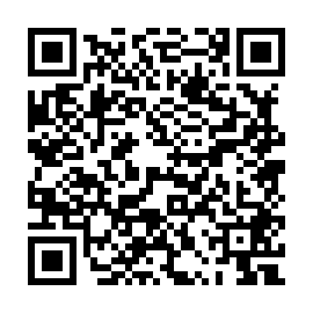 QR code for PPP8482