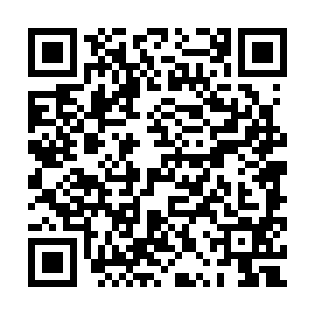 QR code for PPT3946