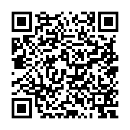 QR code for PUA9538