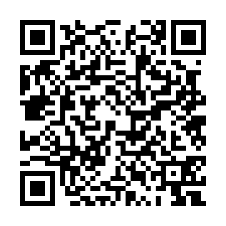 QR code for PUB0304