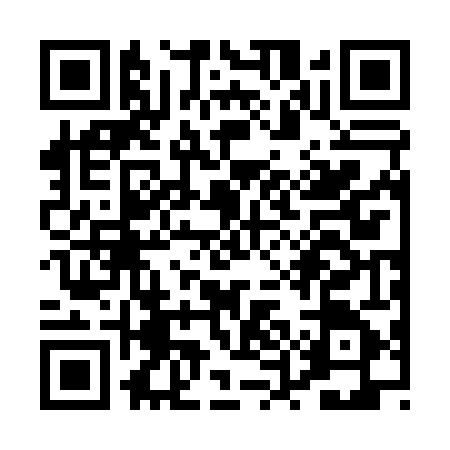 QR code for PUB0450