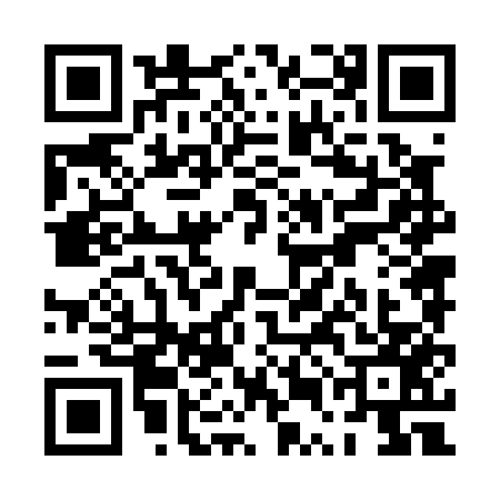 QR code for PUN0579