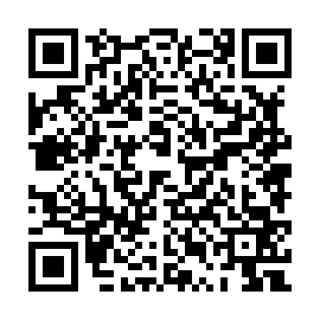 QR code for PUN8636