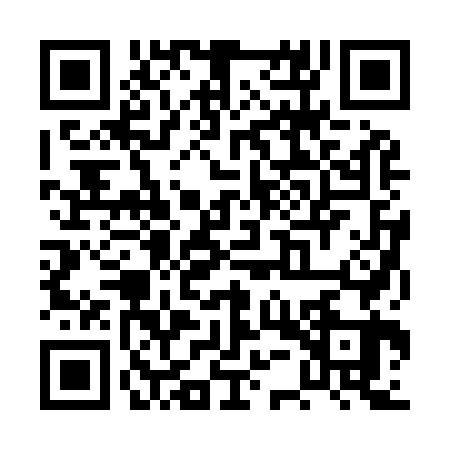 QR code for PUR9638