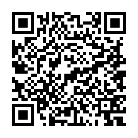QR code for PYD9738