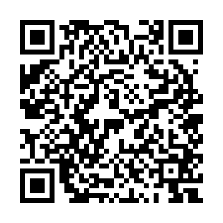 QR code for PYG2446