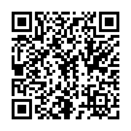 QR code for PYG9113