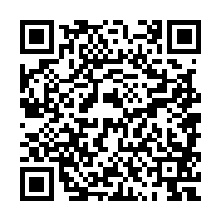 QR code for PYN1838
