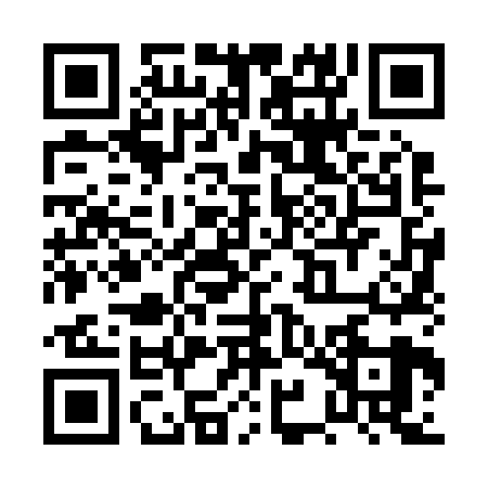QR code for PYN2291