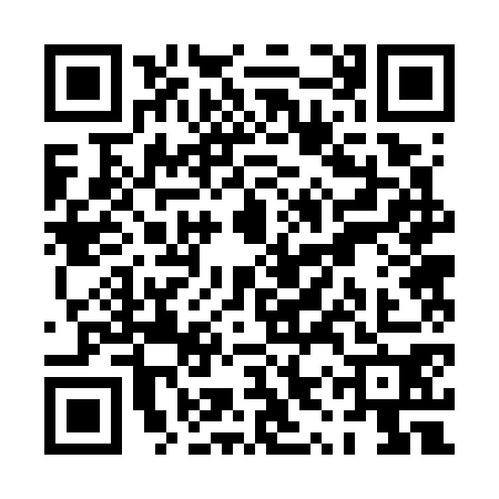 QR code for PYR7703