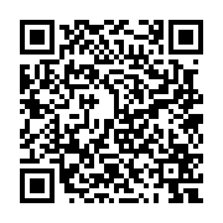 QR code for PYS0675