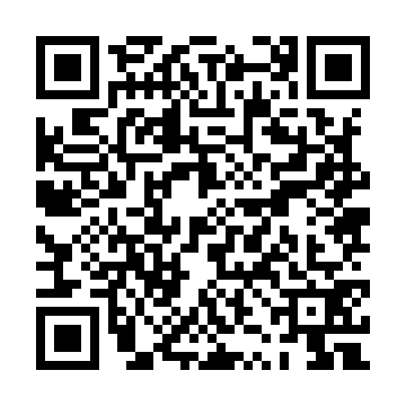 QR code for PZJ9729