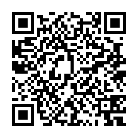 QR code for PZK0380