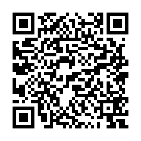 QR code for PZM1593