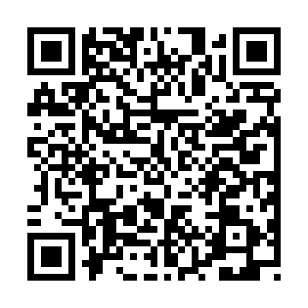 QR code for PZR4911