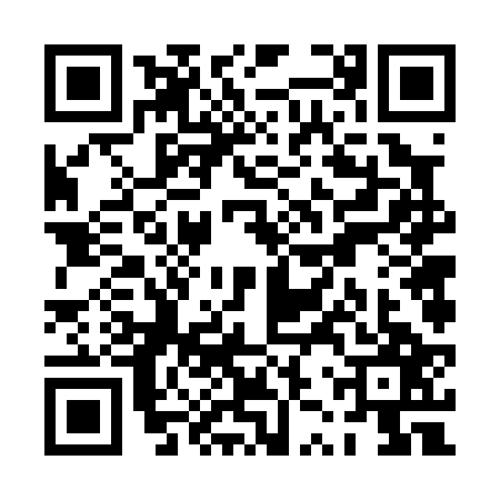 QR code for PZV0273