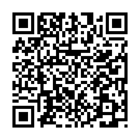 QR code for PZY2912