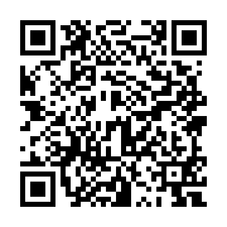 QR code for PZY7913