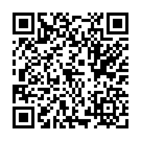 QR code for PZZ2266