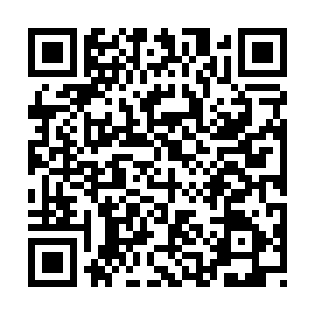 QR code for QAN0956