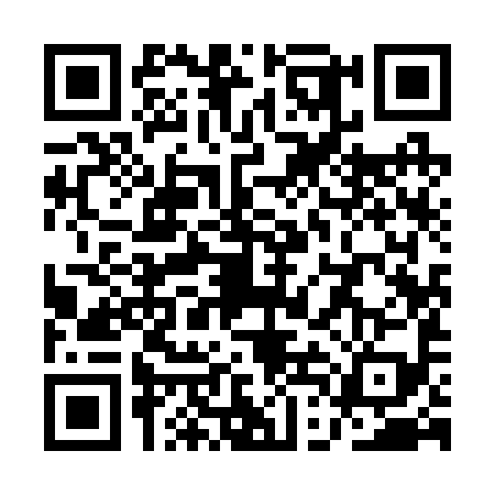 QR code for QDI2999