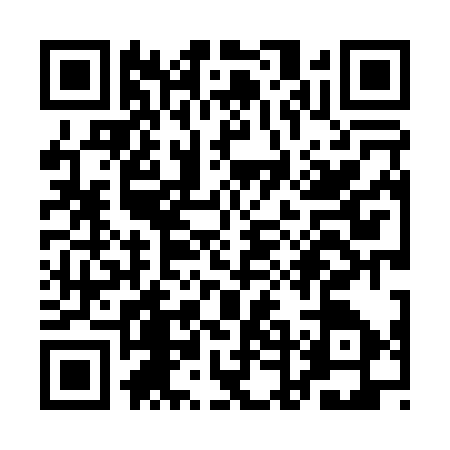 QR code for QDL0379
