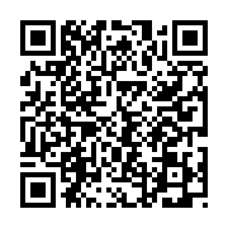 QR code for QDL5294