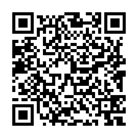 QR code for QDL9396