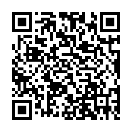 QR code for QDL9565