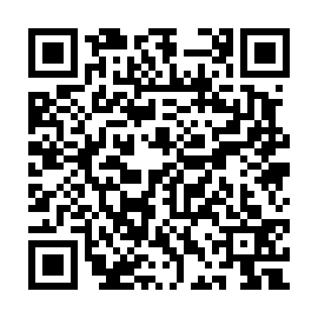 QR code for QDQ4335