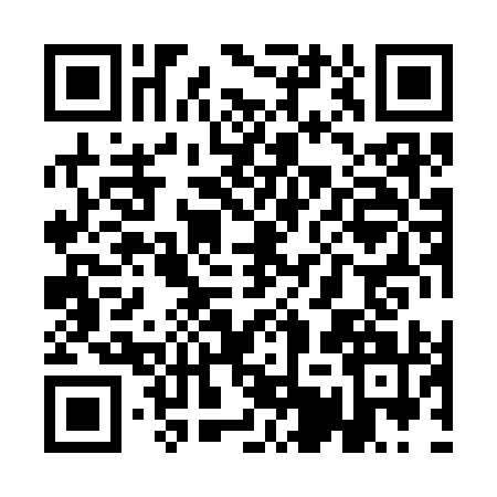 QR code for QEX3911