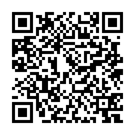 QR code for QFK0311