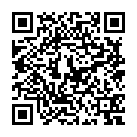 QR code for QFQ8313
