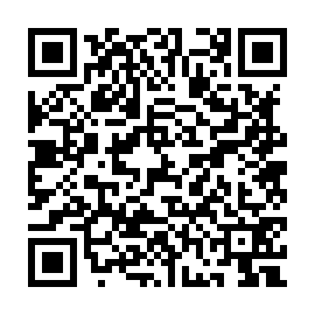 QR code for QGB8729