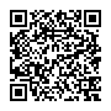 QR code for QHX4384