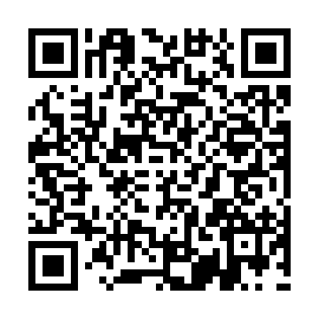 QR code for QIN3929