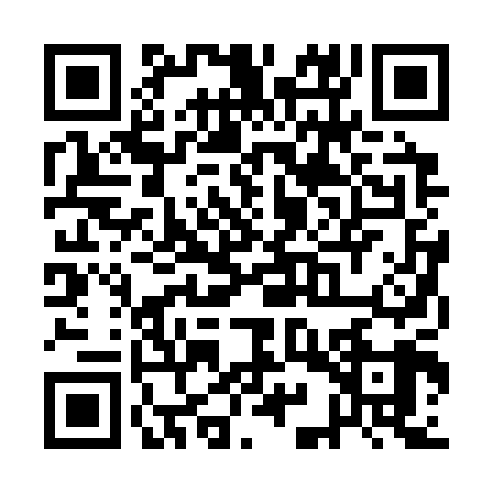 QR code for QIR3095